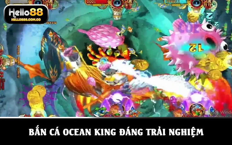 Bắn cá Ocean King đáng trải nghiệm ít nhất một lần