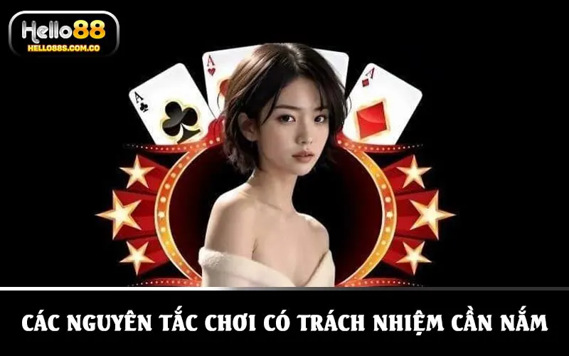 Các nguyên tắc cần nắm