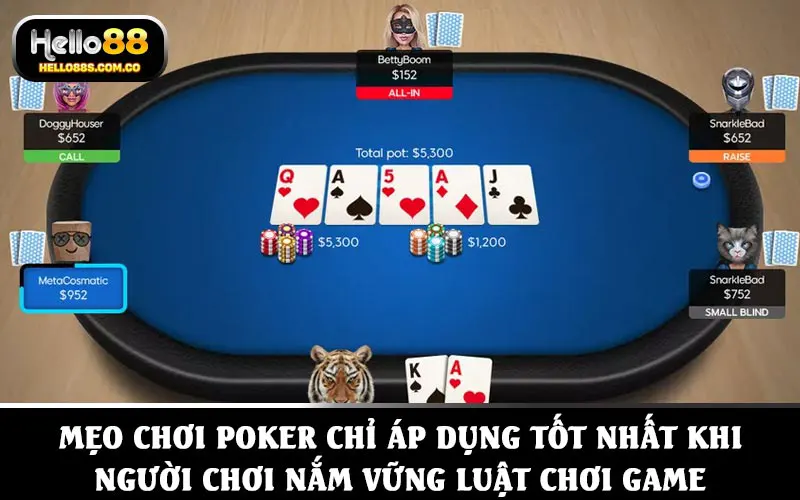 Mẹo chơi poker chỉ áp dụng tốt nhất khi người chơi nắm vững luật chơi game