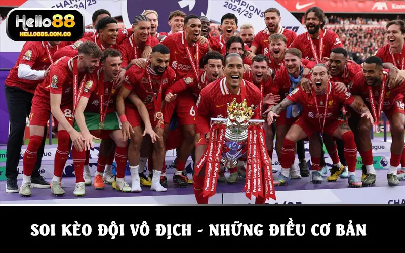 Soi kèo đội vô địch - Những điều cơ bản cần biết