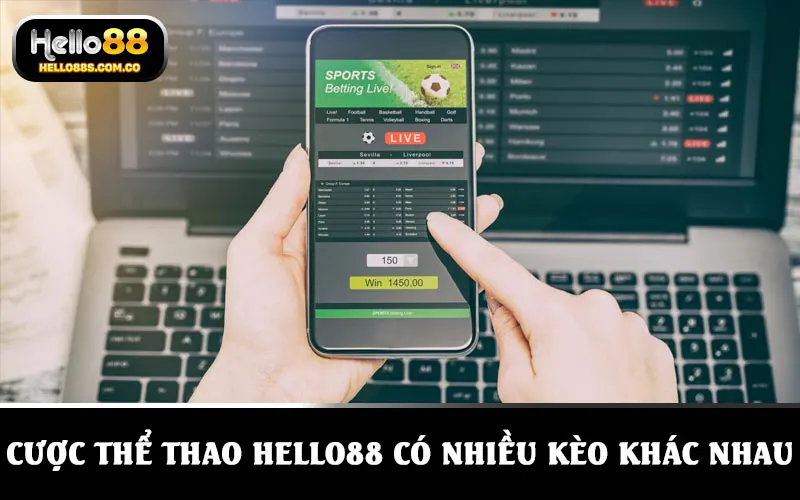 Cược thể thao HELLO88 có rất nhiều loại với nhiều kèo khác nhau