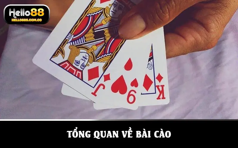 Tổng quan về bài cào